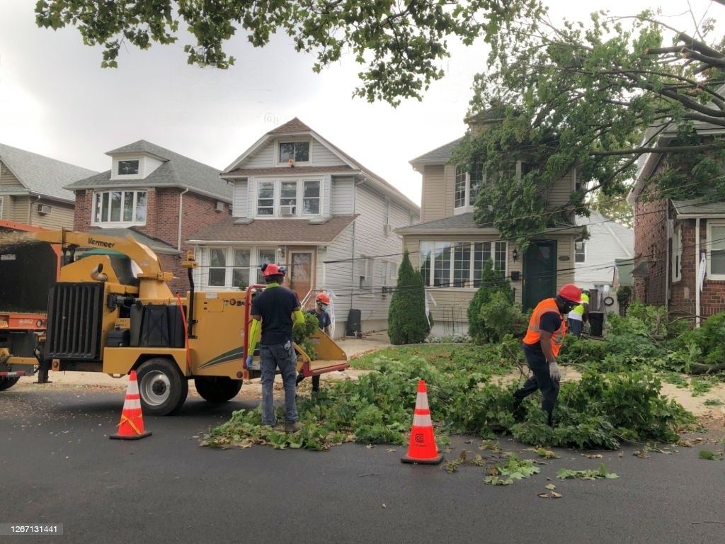 Emergency Tree Service